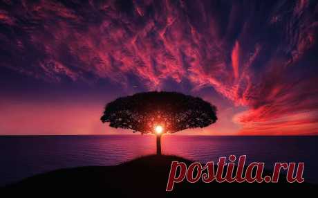 Tre in Sunset by Bessi / 500px