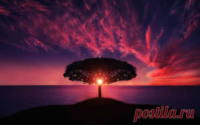 Tre in Sunset by Bessi / 500px