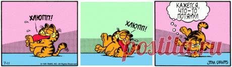 1980-07-11