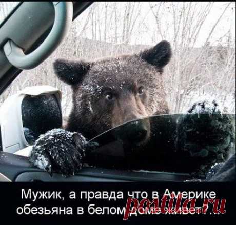 .............
Штаб НОД
Без комментариев ))