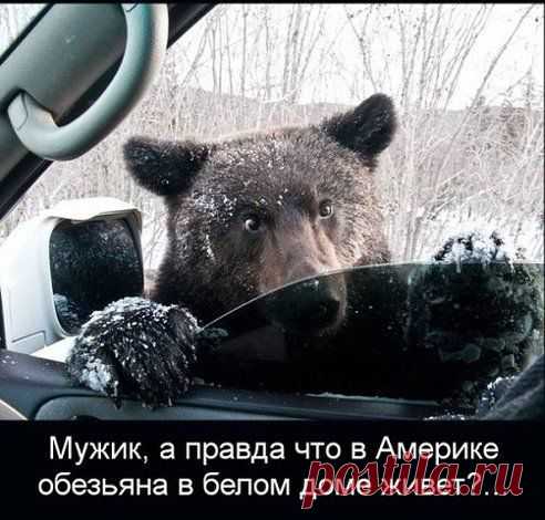 .............
Штаб НОД
Без комментариев ))