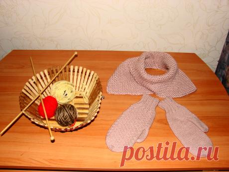 Манишка с рукавичками