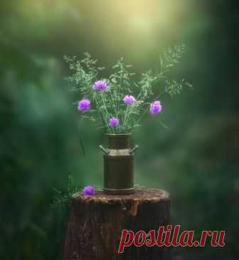 У меня есть точные ответы... Фотограф Инна Сухова