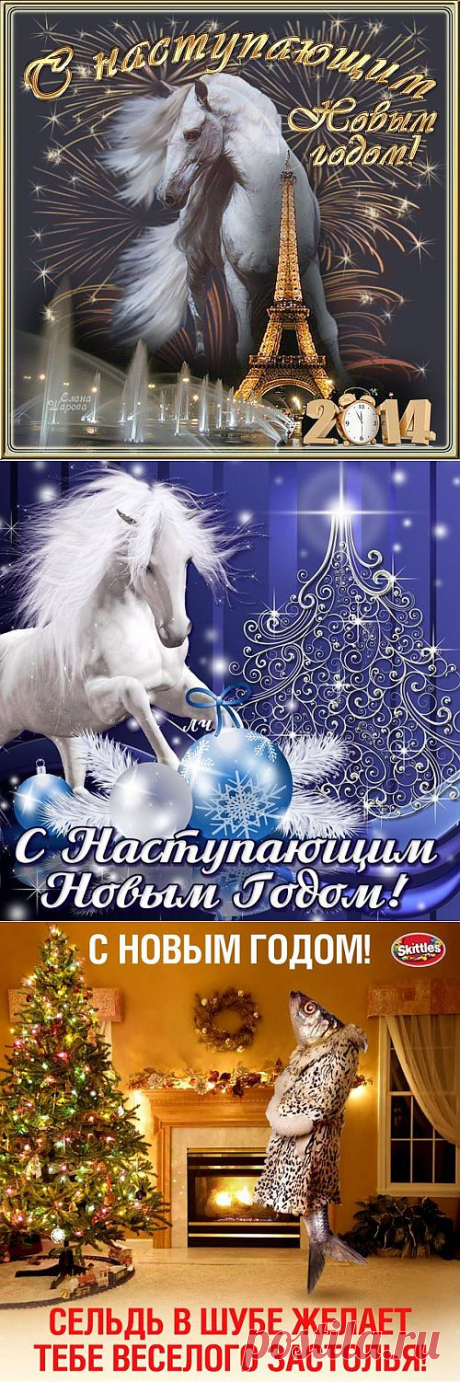 Светлана Меляева