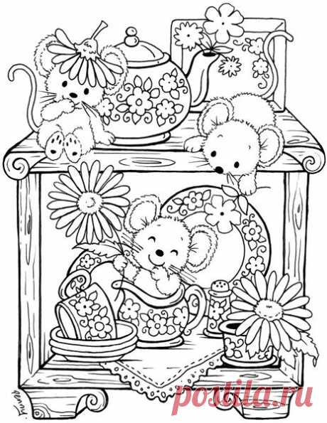 (278) Pinterest