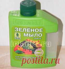 Зеленое мыло - инсектицид - Комнатные растения и цветы