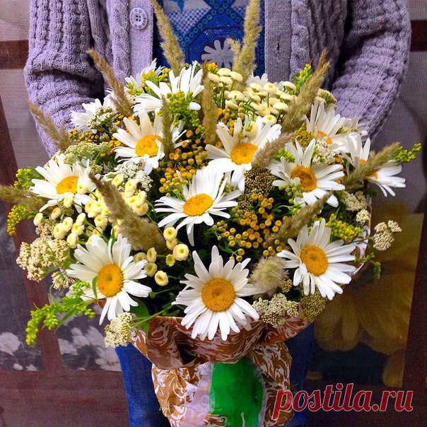 (19) Мой Мир@Mail.Ru