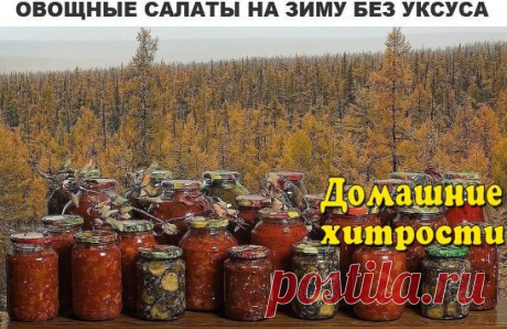 Домашние заготовки салатов без уксуса