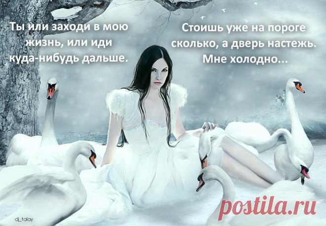 Афоторизмы dj_talay'a