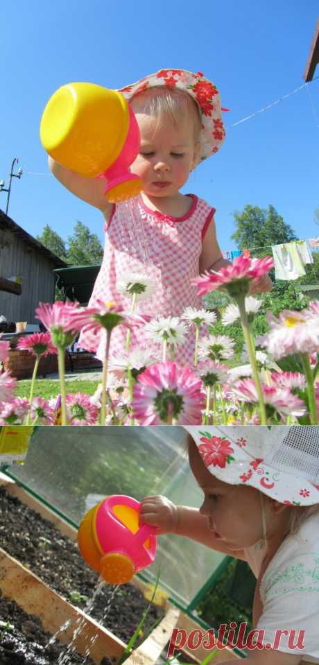 Моя дочка Катюшка очень любит ездить к бабушке на дачу. Самое главное занятие — это помогать, неважно что, все что угодно.Неважно какая погода, главное быть на даче!