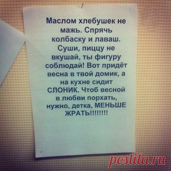 Сообщение (1)