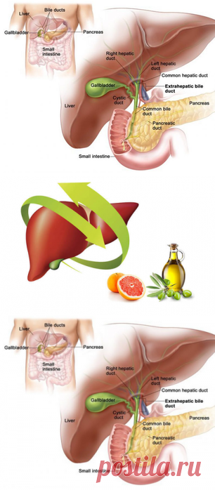 Санитарные дни для печени