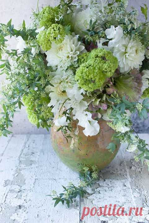 флористика