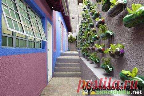 Вертикальный сад в пластиковых бутылках