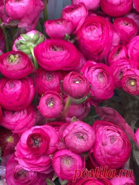 Pinterest