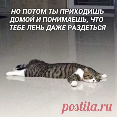 Планы и их реализация