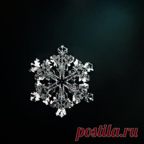 Не сразу поняла, как это снято: невероятной красоты снежинки (настоящие, сделано матушкой-природой и фотографом из Вологды) | Северяночка | Яндекс Дзен