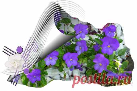 0_56f4d_3cadc35b_XXXL.png (1280×852)