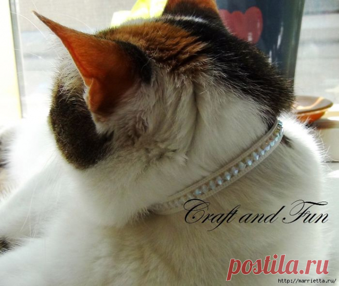 Гламурный ошейник для кошки. Из молнии и бусин-кристаллов Swarovski.