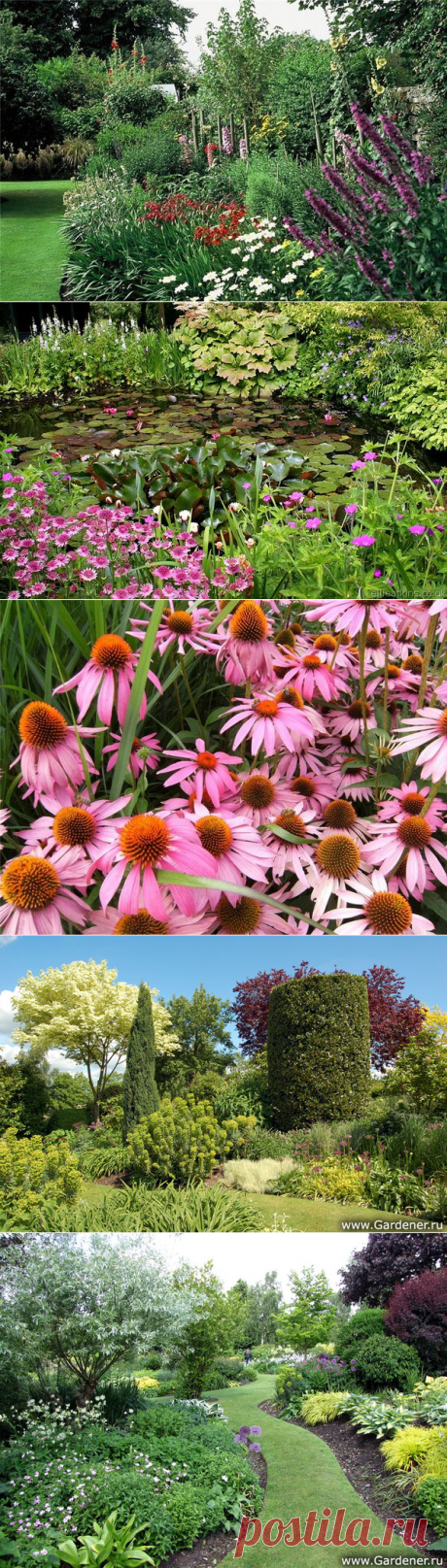 Glen Chantry Garden. – Блог.ФАВ (Анатолий Фёдоров), пользователь Анатолий Федоров | Группы Мой Мир