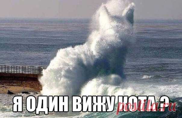 Улыбнуло :D