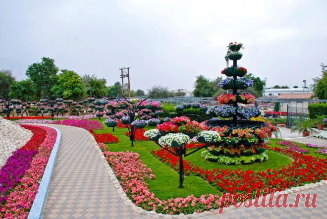 115454979_large_3303834_Al_Ain_Paradise_15.jpg (800×536)