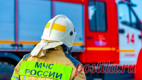 На Дорогомиловском рынке произошел пожар. Пожар произошел в здании Дорогомиловского рынка в Москве. Об этом сообщает ТАСС со ссылкой на оперативные службы. В заявлении подчеркнули, что в здании Дорогомиловского рынка на Можайском Валу произошло возгорание, в текущий момент ...