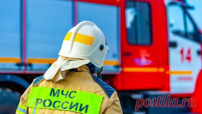 На Дорогомиловском рынке произошел пожар. Пожар произошел в здании Дорогомиловского рынка в Москве. Об этом сообщает ТАСС со ссылкой на оперативные службы. В заявлении подчеркнули, что в здании Дорогомиловского рынка на Можайском Валу произошло возгорание, в текущий момент ...