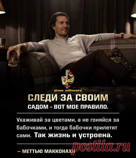 Правила жизни Мэттью Макконахи
1. Жизнь непроста Да, мы все это знаем, но почему-то всегда об этом забываем. “Не попадайте в ловушки. А если и попадаете – не чувствуйте себя жертвой. Вы ею не являетесь. Справьтесь со сложностью и обратите ее себе на пользу.” 2. Радость – это еще не счастье Актер говорит, “Счастье – это эмоциональный ответ на позитив…оно зависит от результатов. Счастье не является...
Читай дальше на сайте. Жми подробнее ➡