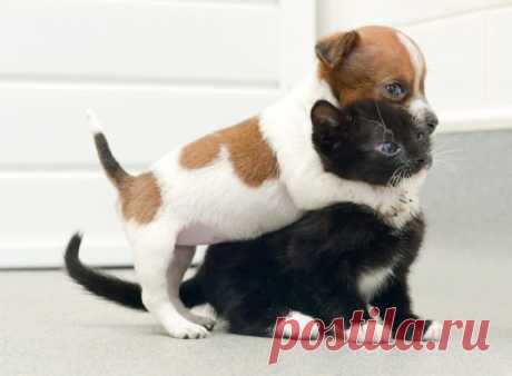 (2) Facebook