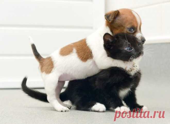 (2) Facebook