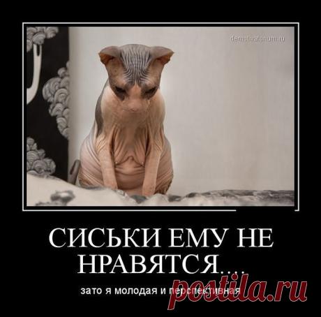 Требуются активные и целеустремлённые менеджеры для работы в интернете! Работа в любое удобное для вас время! Желание работать и добиться результата! Заработок 100%! Подробности в блоге: https://orikaterina.blogspot.ru/