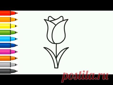 Как нарисовать розу - Рисование - Раскраска