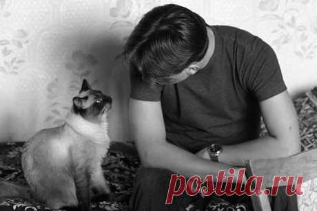 Не ругайте свою кошку: не поможет!