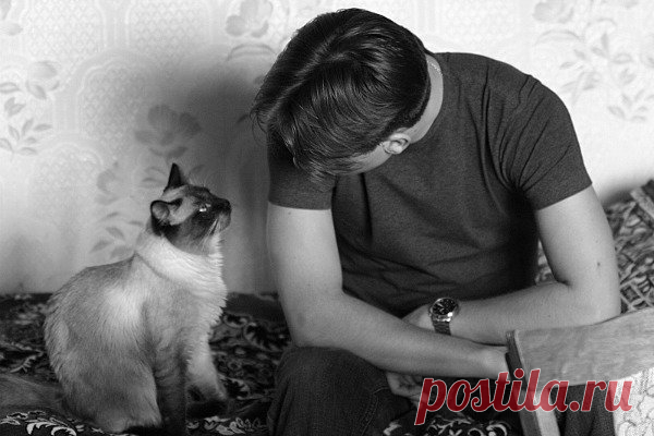 Не ругайте свою кошку: не поможет!