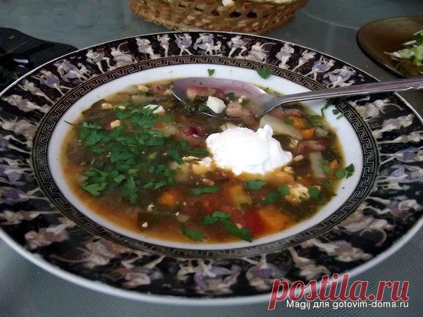 Зелёный борщ с фасолью • Борщи, щи
