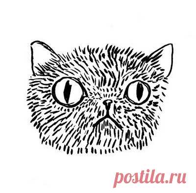 Кота заводят, чтобы кот
Был маяком во тьме забот
