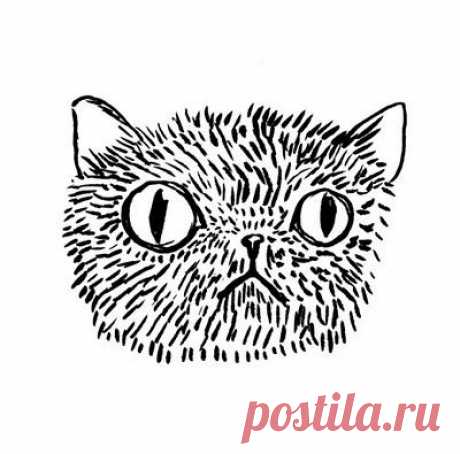 Кота заводят, чтобы кот
Был маяком во тьме забот