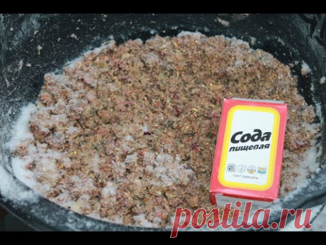 СОДА. Обязательная ветеринарная терапия для кур несушек зимой.