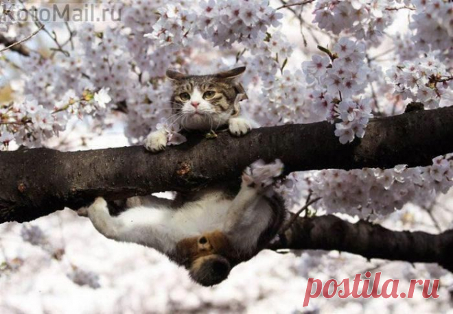 Упражнения | KotoMail.ru