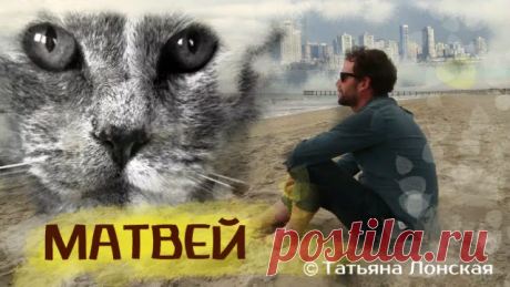 С главным героем этой трогательной истории – пушистым черным котом Матвеем, я лично не знакома. Но зато знакома с другом его хозяина, от которого и узнала об этих событиях, больше напоминающих сказку… 

В славном городе Одессе жил да был один молодой человек. Родители его по случаю выехали на ПМЖ за границу, небольшую квартиру оставили ему. По молодости лет он еще не был женат, учился в мореходке, мечтал о море, о далеких странах, а о своих мечтах рассказывал своему самому...