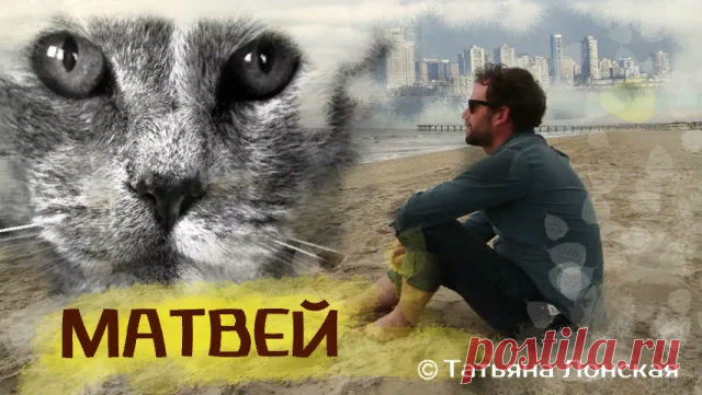 С главным героем этой трогательной истории – пушистым черным котом Матвеем, я лично не знакома. Но зато знакома с другом его хозяина, от которого и узнала об этих событиях, больше напоминающих сказку… 

В славном городе Одессе жил да был один молодой человек. Родители его по случаю выехали на ПМЖ за границу, небольшую квартиру оставили ему. По молодости лет он еще не был женат, учился в мореходке, мечтал о море, о далеких странах, а о своих мечтах рассказывал своему самому...