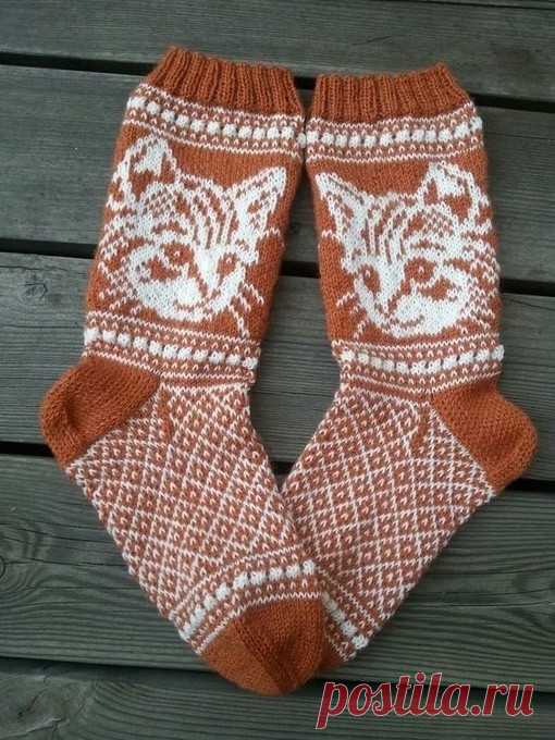 Жаккардовые носки с котиками Жаккардовые носки с котикамиПосвящается всем обожателям пушистиков.