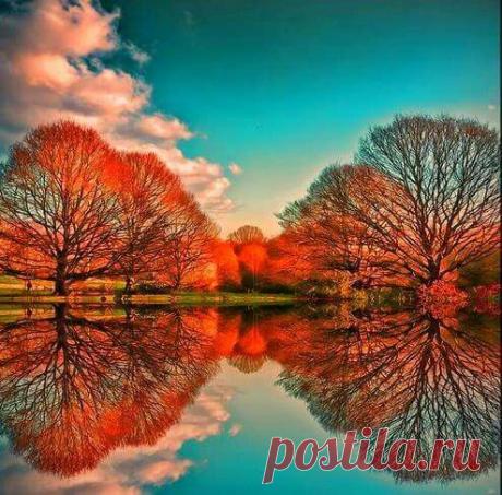 Pinterest