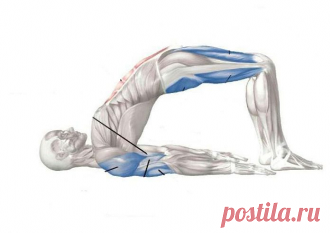 10 потрясающих утренних упражнений для здоровья и бодрого дня