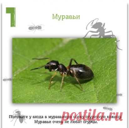 Присоединяйтесь, здесь всегда всё самое НУЖНОЕ ДЛЯ ВАС!
СОХРАНИТЬУстановить себе