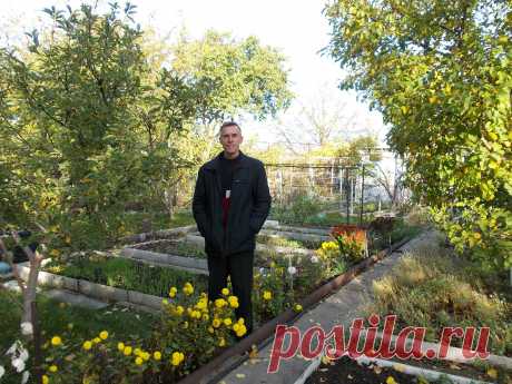 Вот и осень на исходе..Стало нынче холодать! ..И дла дачников и садоводов пришло время ОБРЕЗАТЬ плодовые деревья ! Рекомендую видио курс по обрезке плодовых деревьев . https://obrezka.sadovod60.sadovod.e-autopay.com/