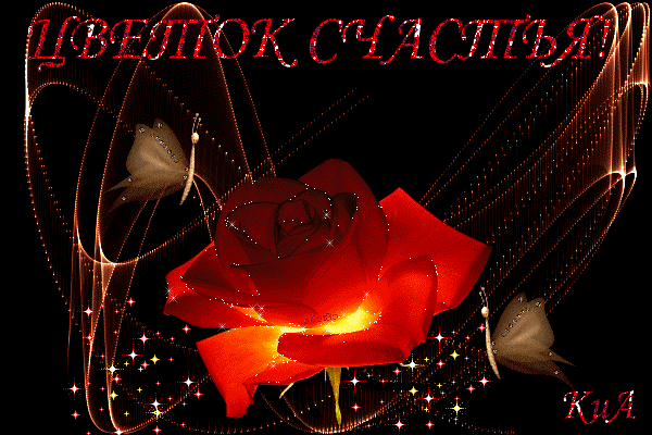 (24) Мой Мир@Mail.Ru