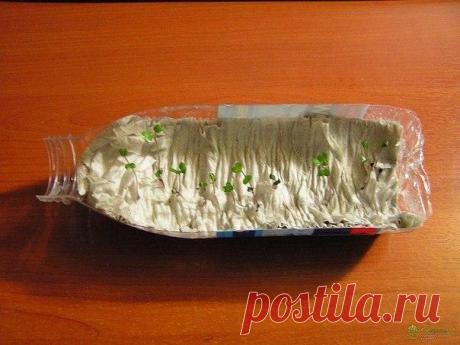 Стена | ВКонтакте