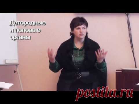 БОЛЕЗНИ И ИХ ПРИЧИНЫ. 6 часть. Мочевой пузырь,детородные и половые органы.
